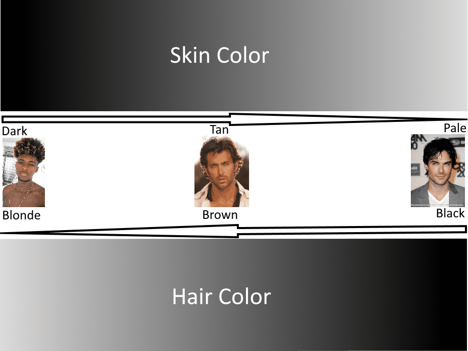 Lookstheory