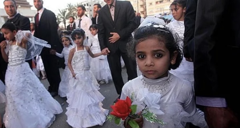 82654197 926D 41C1 A22E 7162B3217DC3