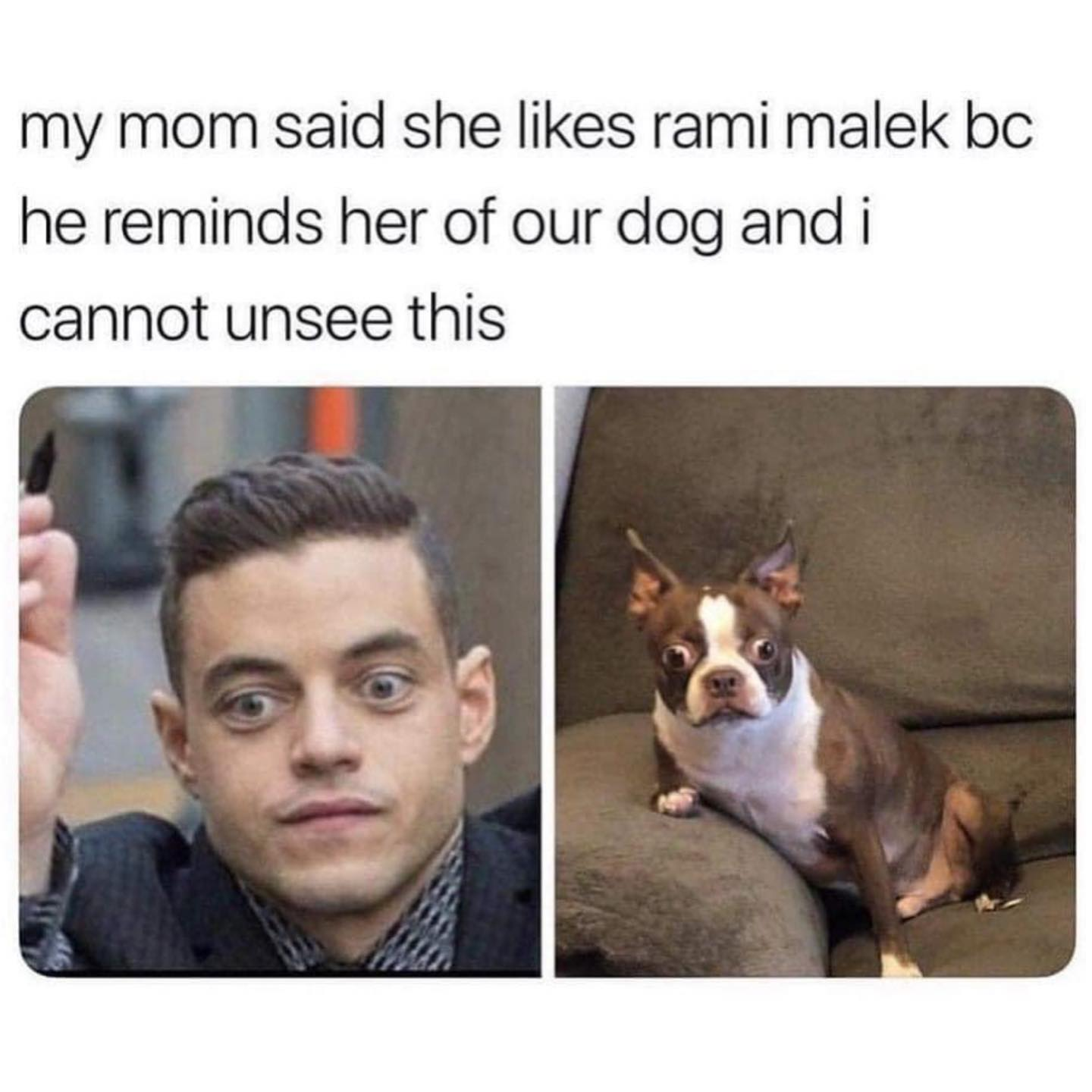 1650973361974