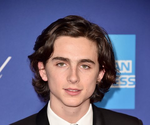 Timothee Chalamet GettyImages 900660082 rct480x400u