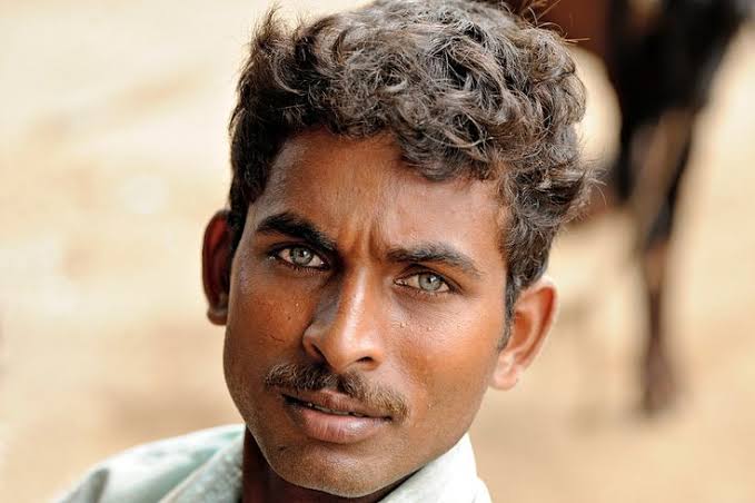Dravidian chad with light eyes