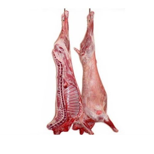 Goat mutton carcass 500x500