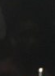 1651332532879