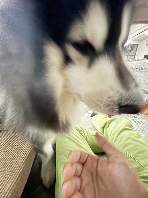 F152C8C8-A09E-4B66-819C-DF6BDF26EE06.jpeg