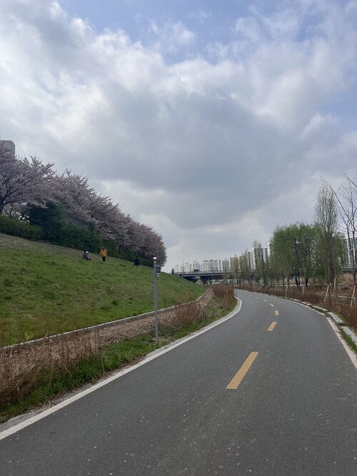 C8882498-2A27-4CC5-969C-C9C00FF55527.jpeg