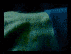FA5EE629-5F45-46D7-B3CF-08EAE64DD15B.gif