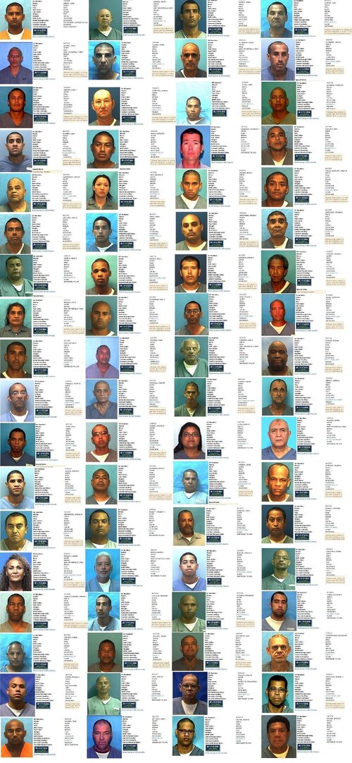 white.jpg