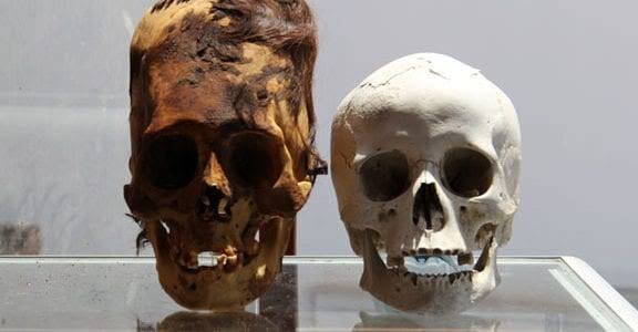 931E96B4 00E3 43E6 93B5 7C88F512A459