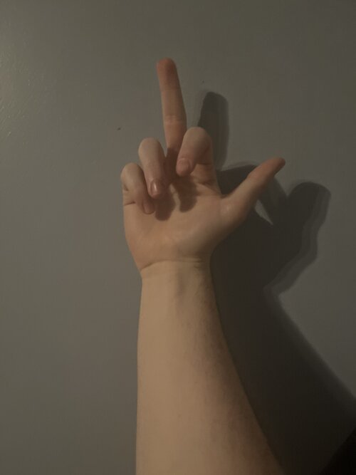 image.jpg