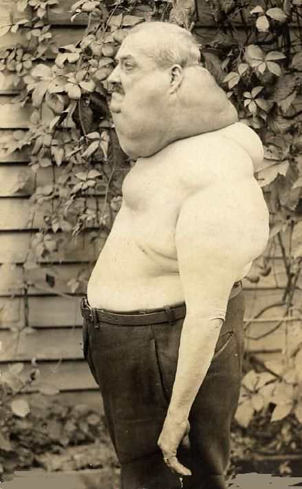 1651099996321.png