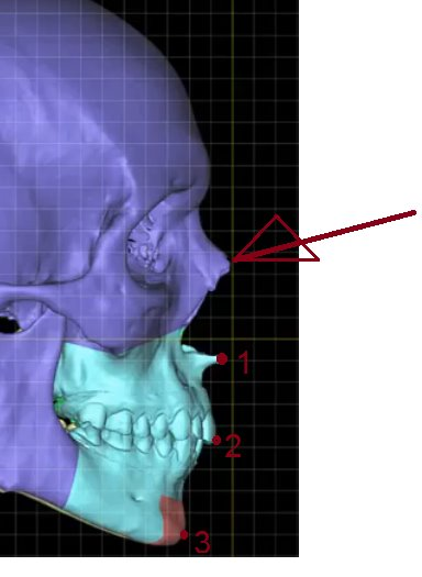 2365891 1619357588991