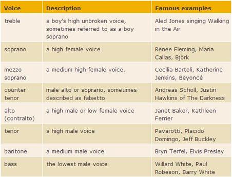 Voice and description