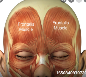 1651435436209