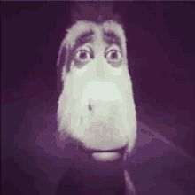 Yanzenie donkey