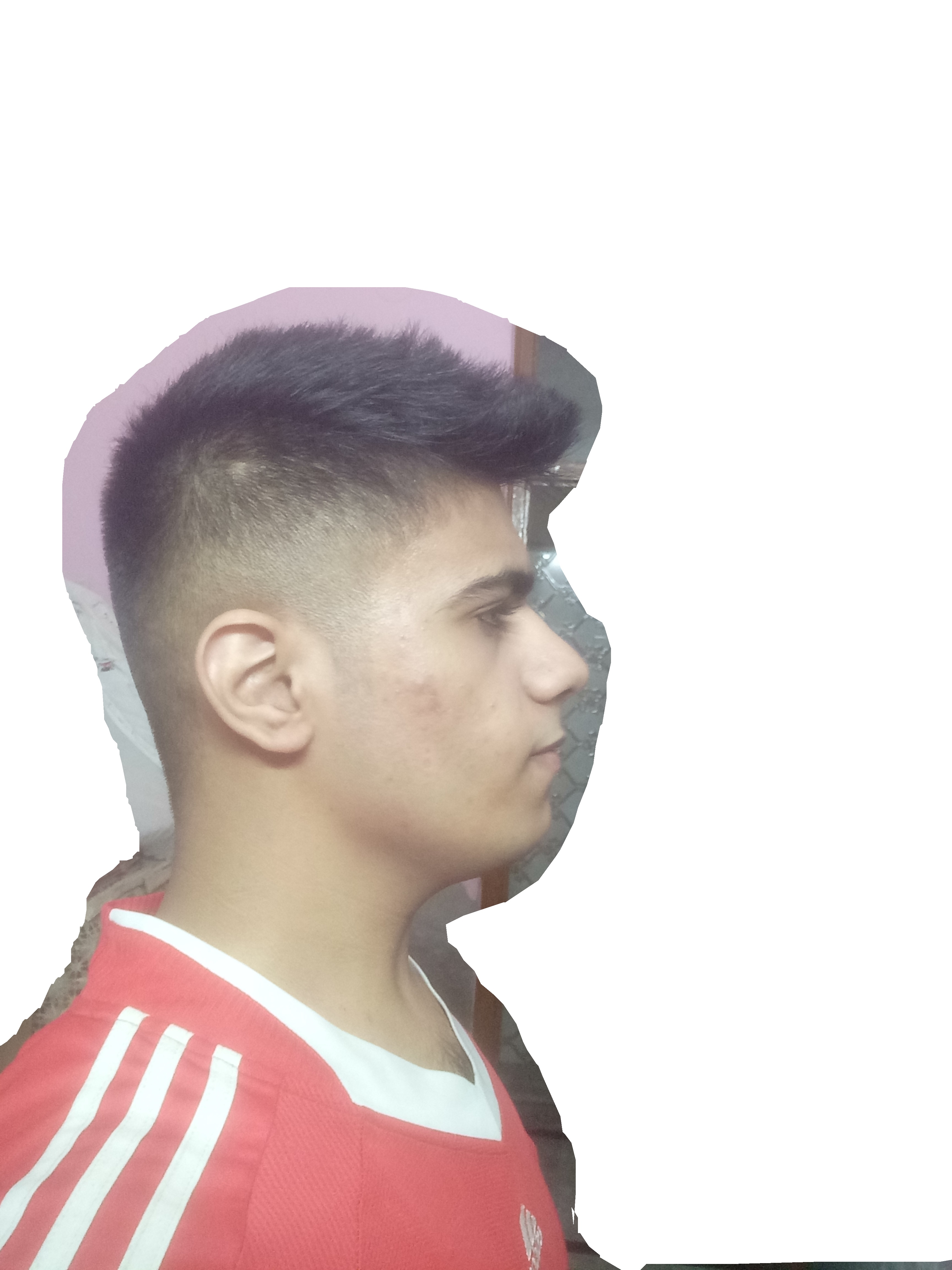 IMG 3