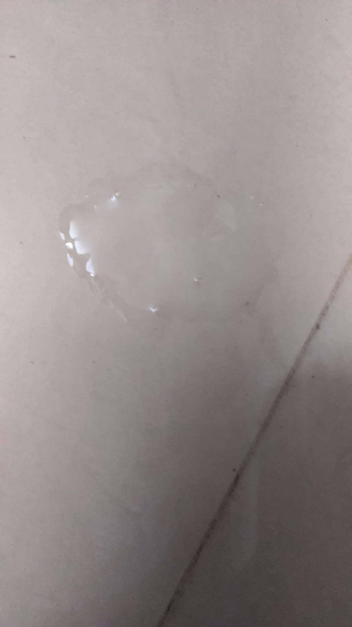 Received 194907552284238