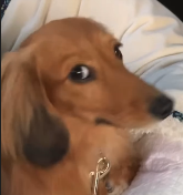 12346