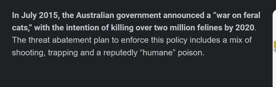 Aussie