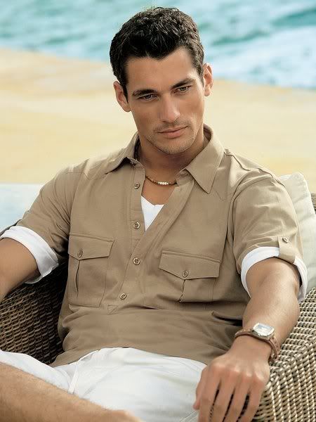7bf68e866b96bbbeb9be3e3cd0f0c396  david james gandy james darcy