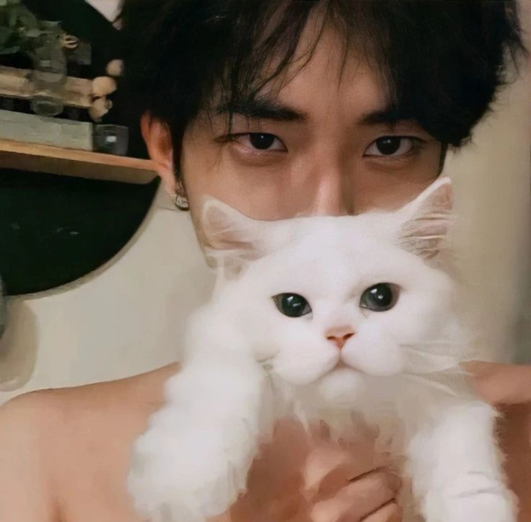 Screenshot 2022 0511 112022