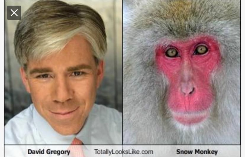 9B1EDEBF C77F 4BE4 B213 1E3EEE8E3FDB