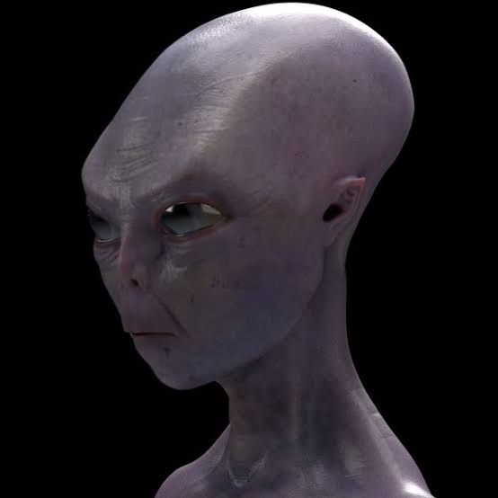 1652516379272