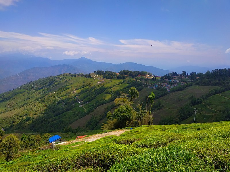 Darjeeling 123