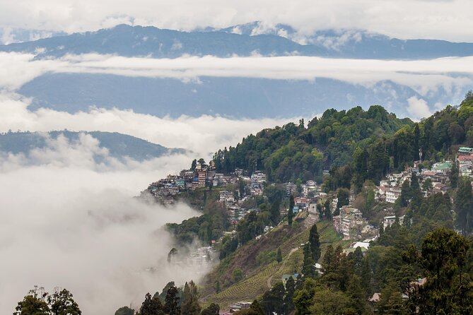 Darjeeling1234
