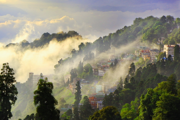Darjeeling 23