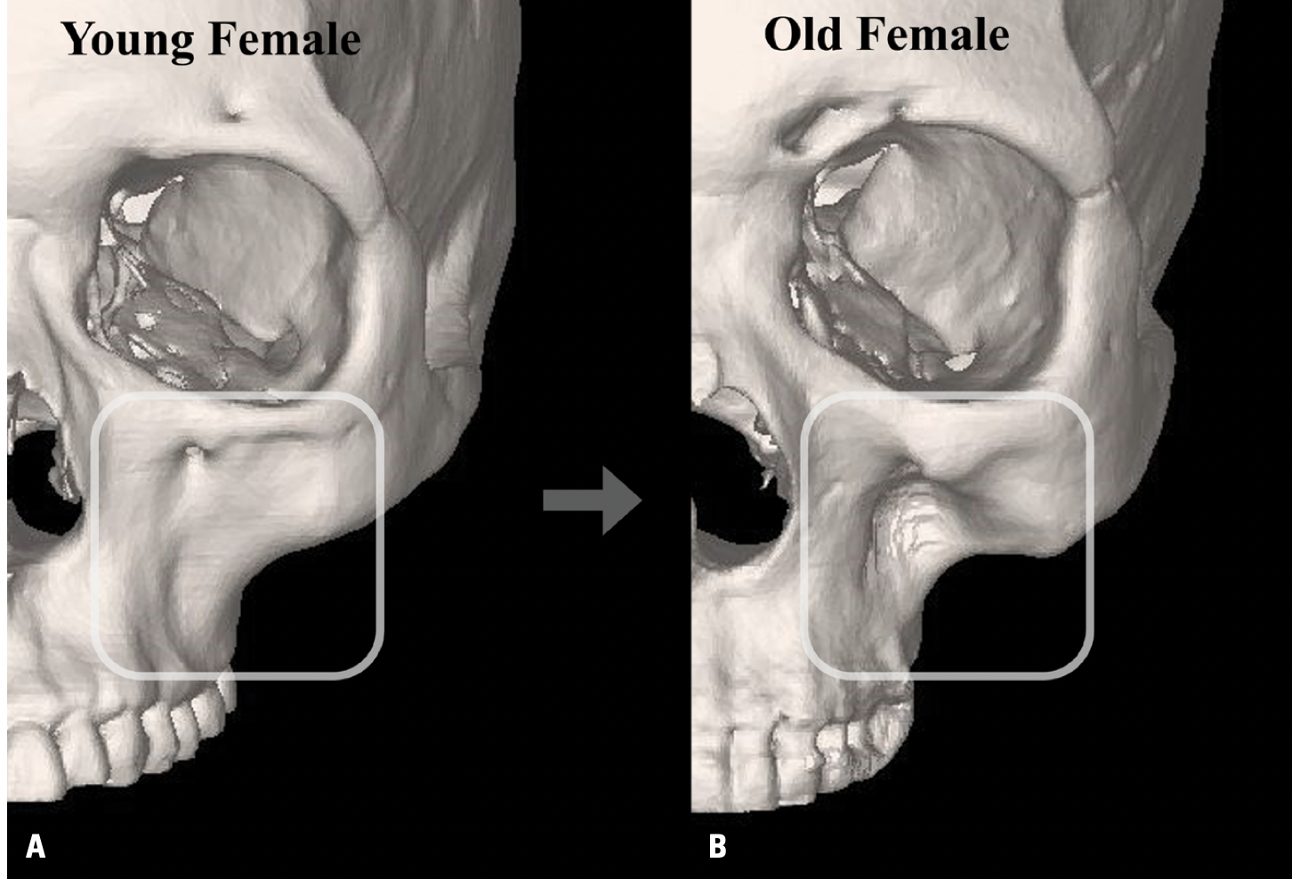 Screen Shot 2022 05 17 at 40218 PM