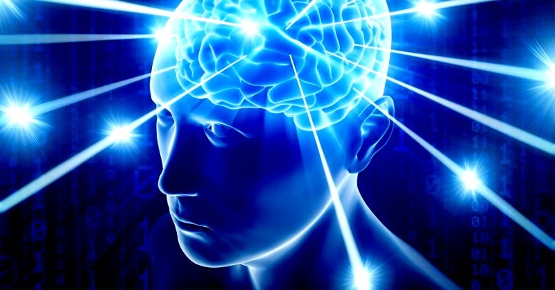 My brain