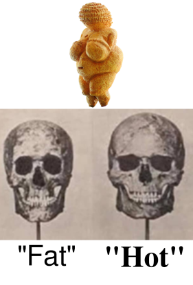1638886920045
