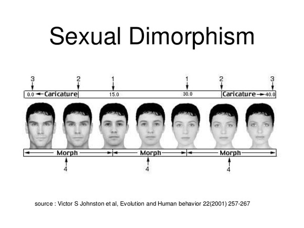 66CCD5EB 9644 4B91 80D1 A04D8C77143F