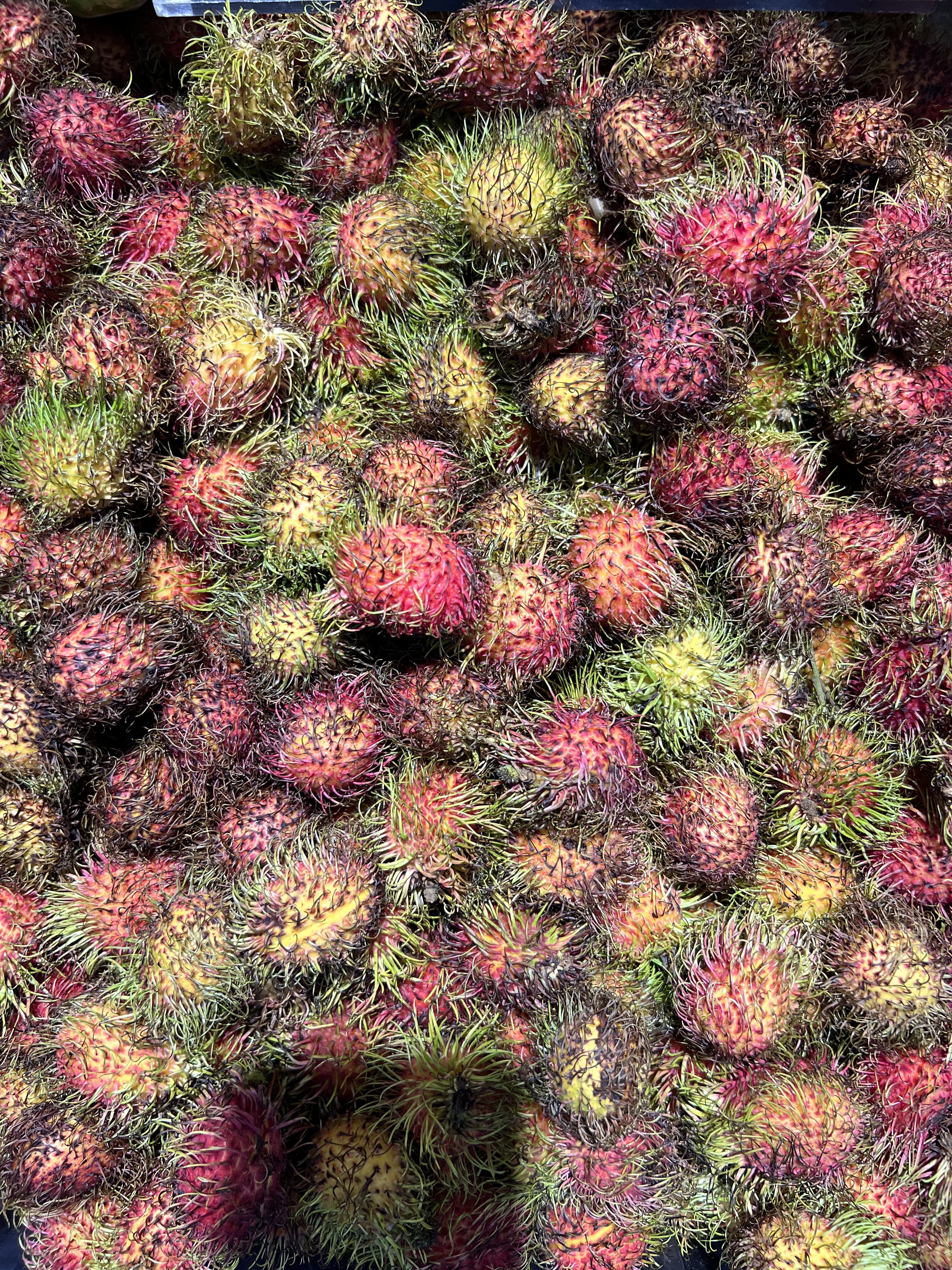 AE06C106 792D 4373 8D79 036AE2478079