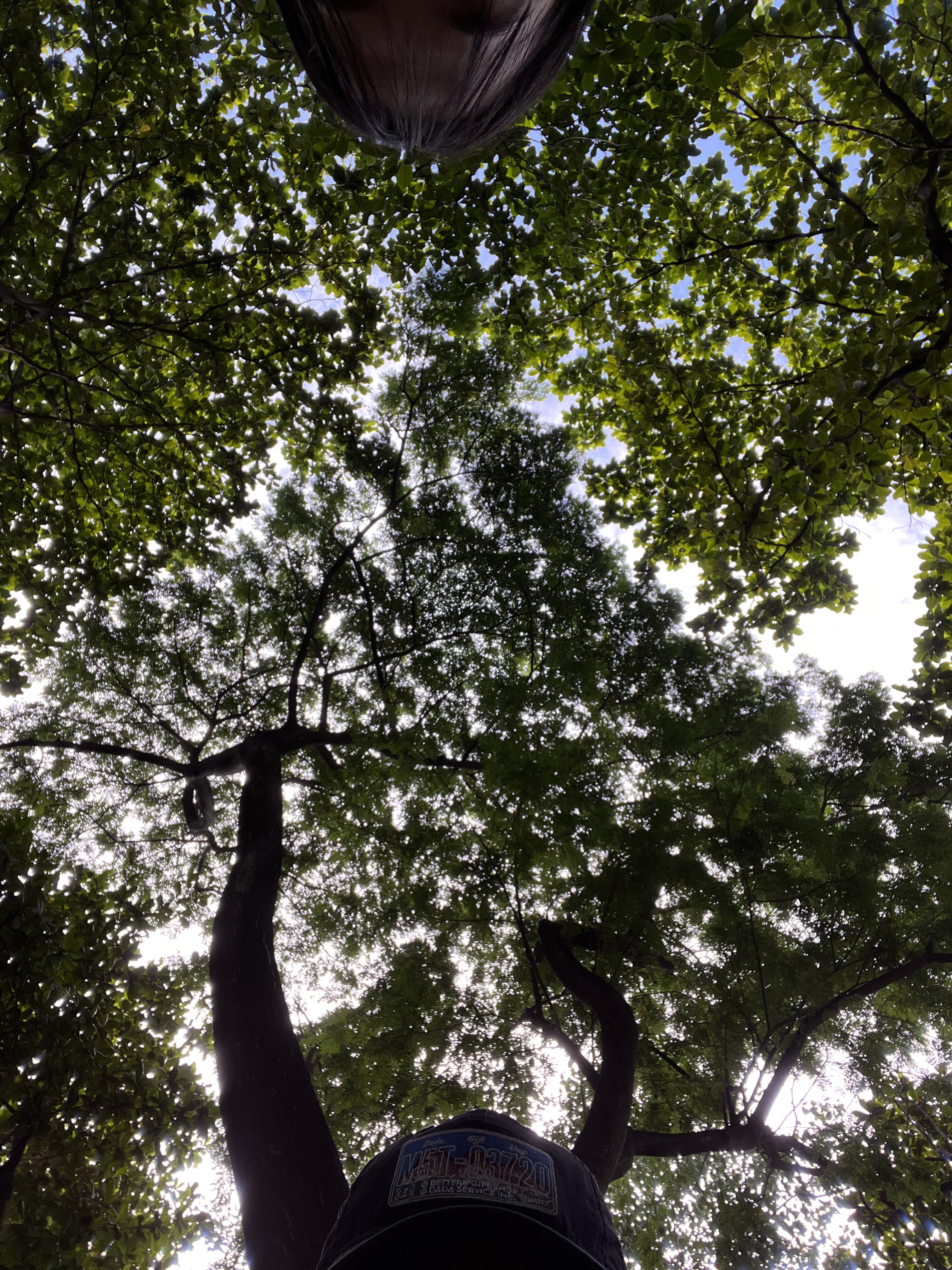 B90DB961 CBD5 4ACC 88AB BA944FE28140