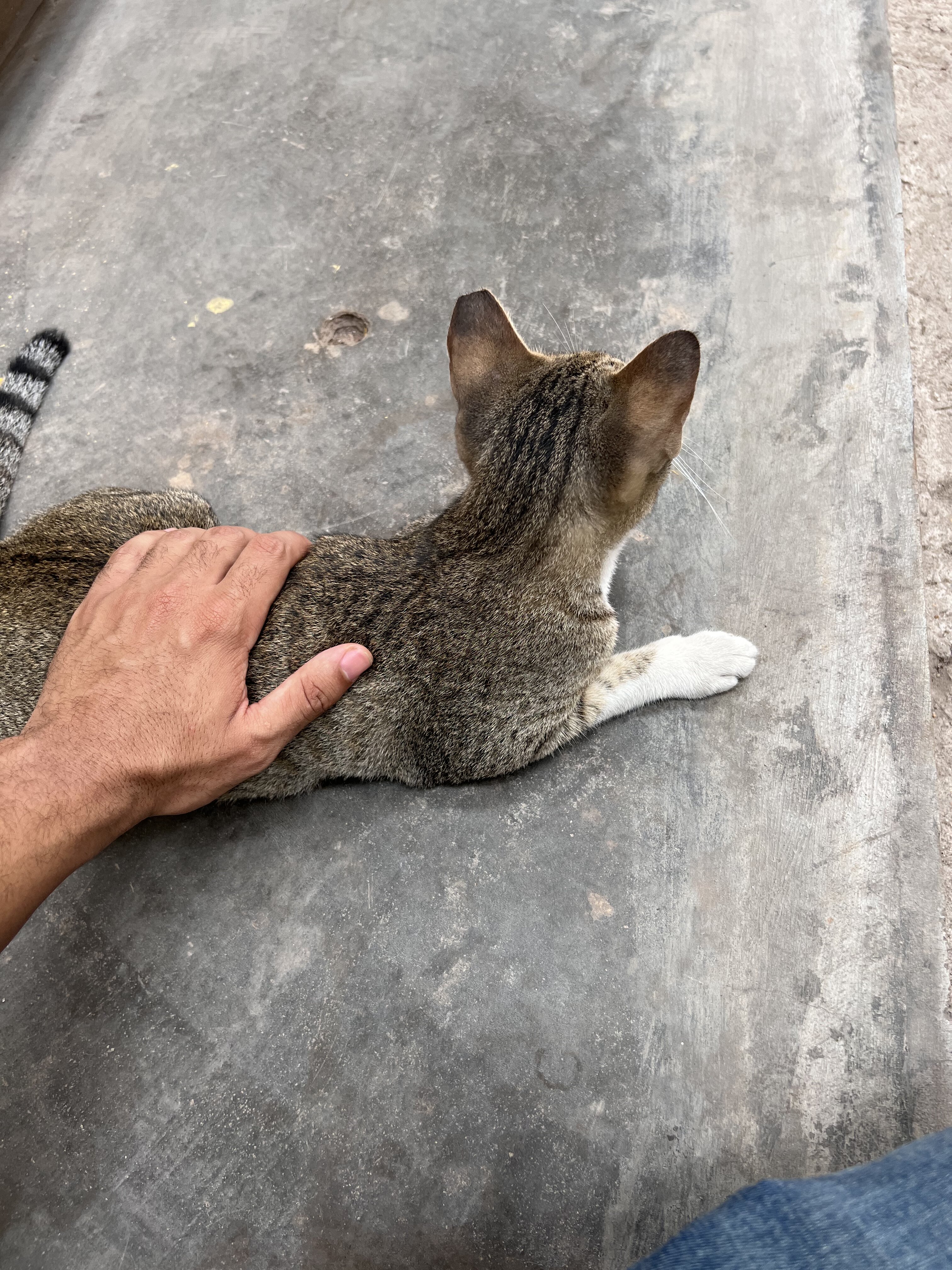 893C03A6 B206 42B6 ACFA E03BCC804F71