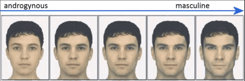 Sexual dimorphism