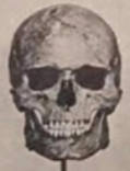 1653204849948