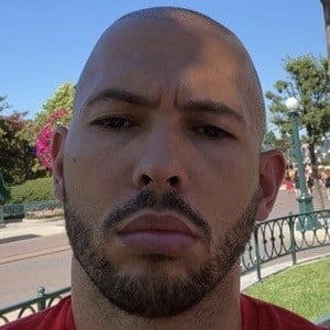 2902243 andrew tate 3