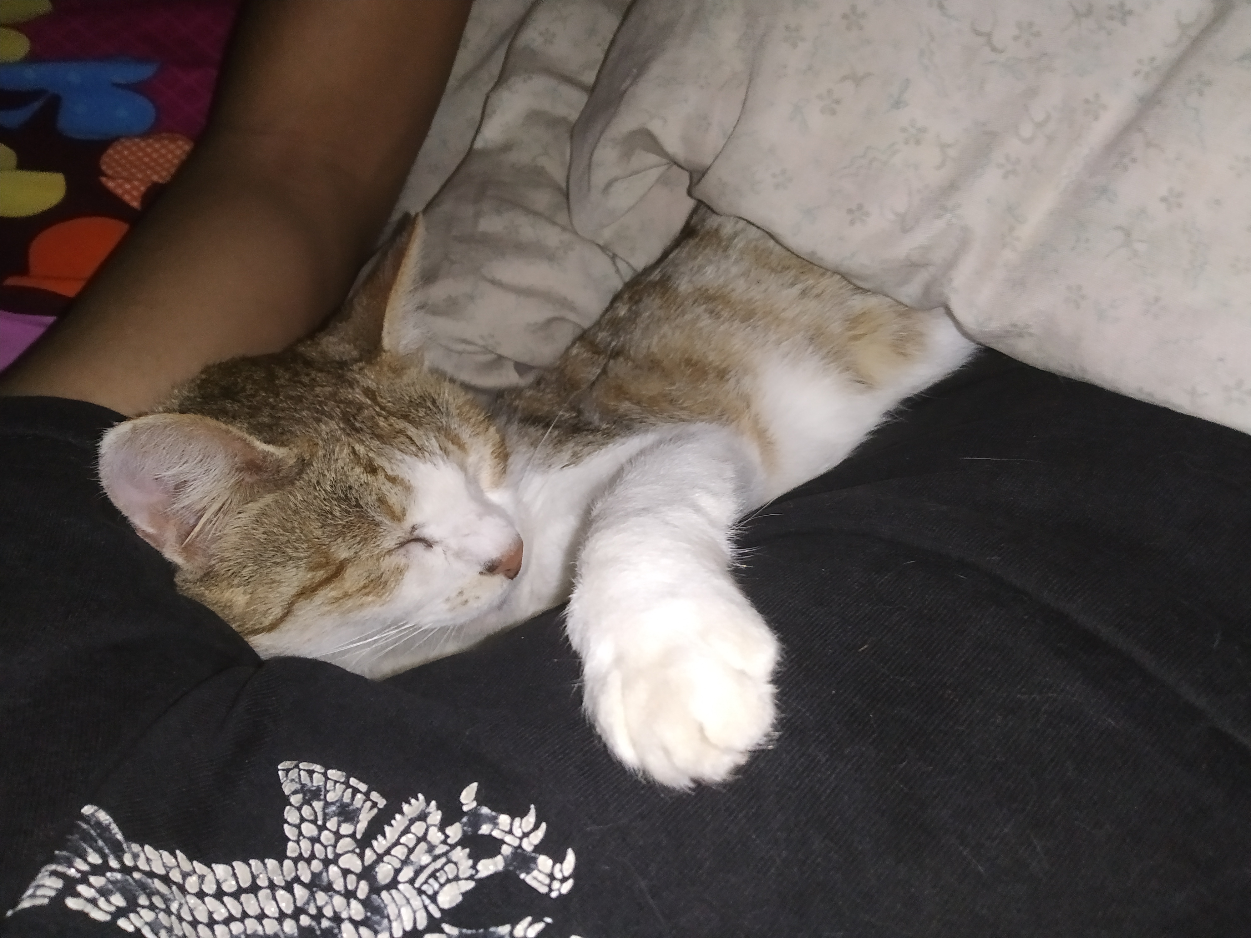 IMG 20190711 183516