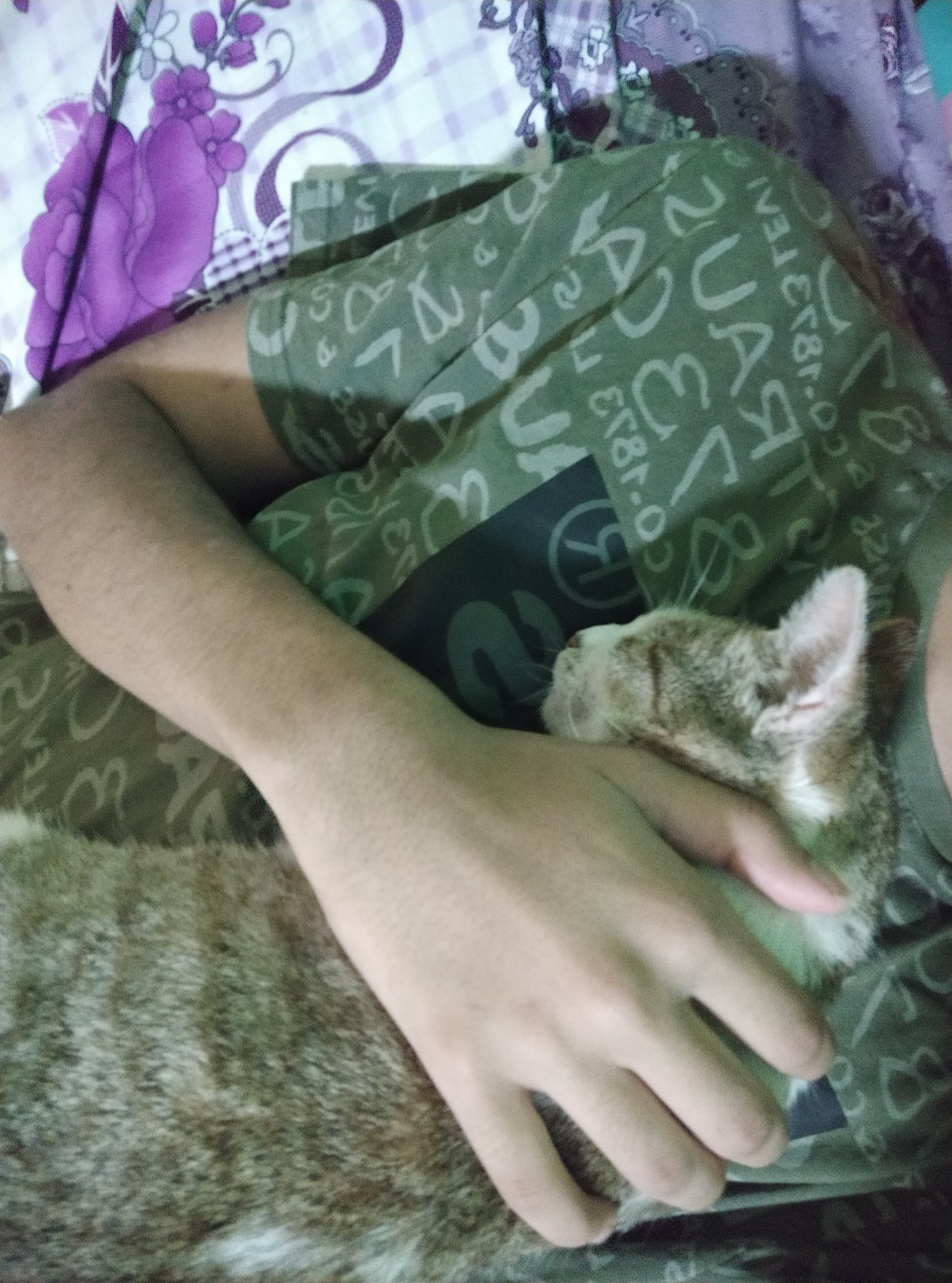 IMG 20190804 192914