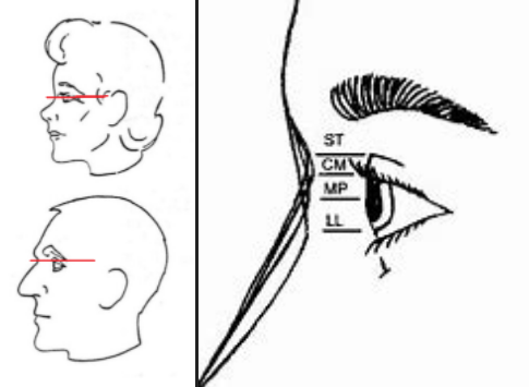 Screenshot 2022 05 25 160902