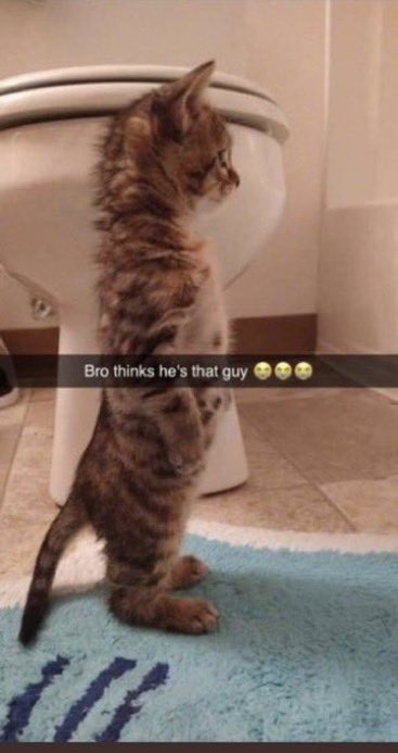 Thatguy