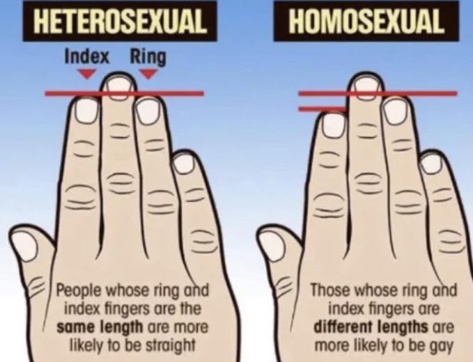 29C2909F DFC7 4C2D B454 976963A836DA