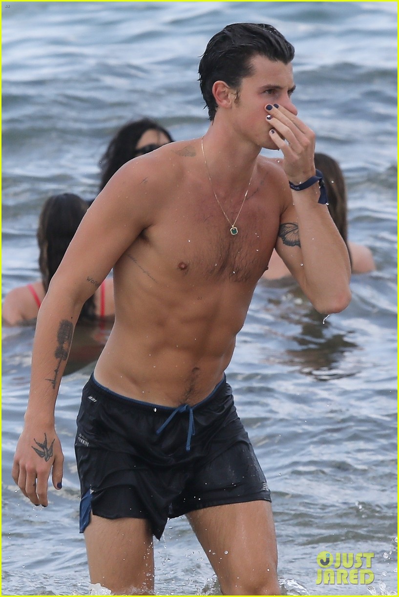 Shawn mendes beach 10