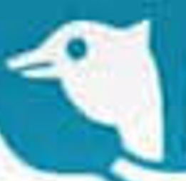 SmartSelect 20220527 214711 Gallery