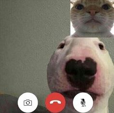 1653695737508