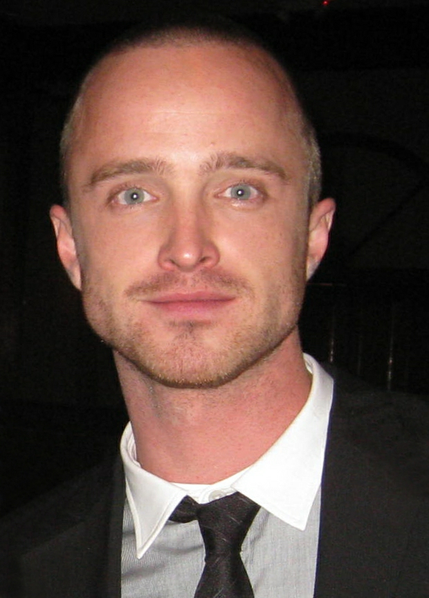 2720914 Aaron Paul 2010 cropped