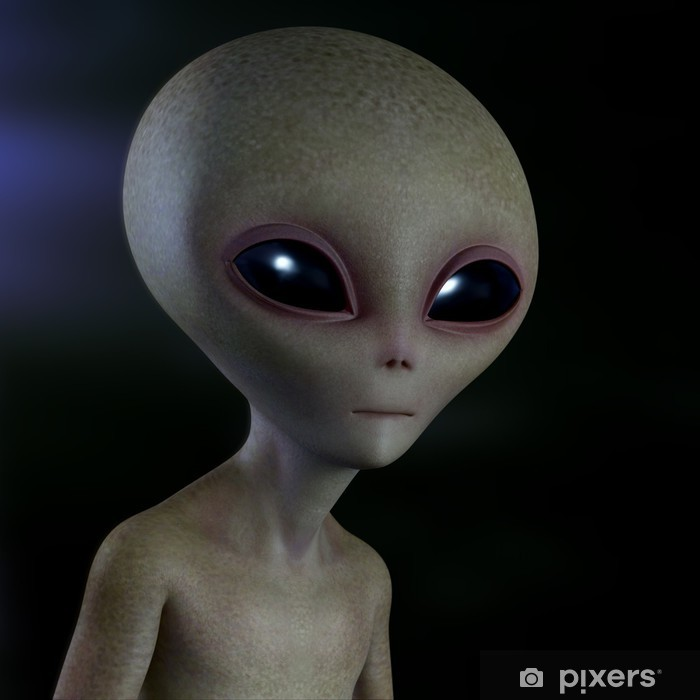 1653731355461