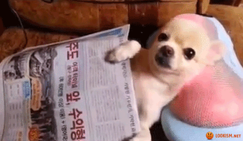 KeepBarking